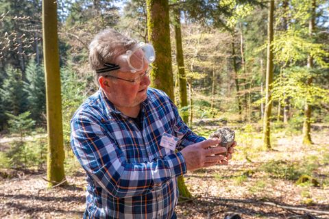Der Geograf Dr. Andreas Megerle erklärt auf der Naturpark-GeoTour in Straubenhardt, warum Wandernde auch heute noch versteinerten Wüstensand im Schwarzwald finden können.
