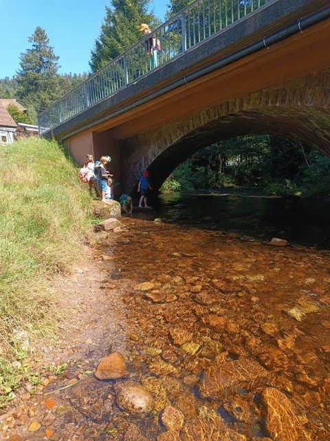 Kühles Fußbad in der Eyach