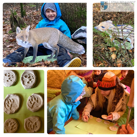 Frau Kienzle zeigte den Kindern anhand von 2 präparierten Tieren den Körperbau unserer Waldbewohner.