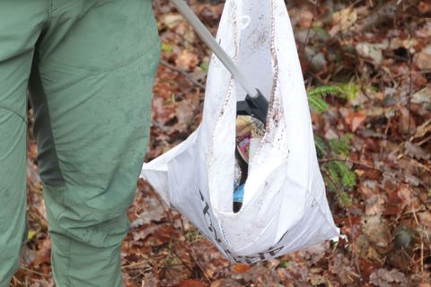 Sammeln Sie mit - beim Waldputztag in Straubenhardt, „Gemeinsam anpacken“ am 29. März.