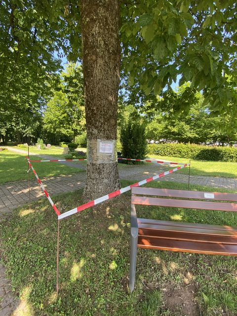 Der befallene Baum wurde vom Technischen Dienst abgesperrt.