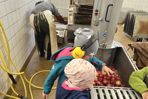 Vom Apfel zum Saft – Kita-Kinder hautnah dabei