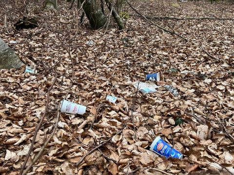 Müll im Wald ist nicht nur schädlich für die Umwelt, sondern auch kein schöner Anblick. Helfen Sie also mit – beim Waldputztag am 21. März!