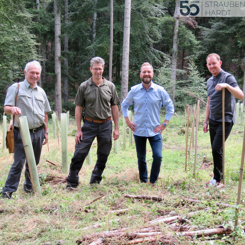 Fritz Kramer von der Schutzgemeinschaft Deutscher Wald, Forstrevierleiter Michael Bruder, Boris Heller, technischer Geschäftsführer der GVP, und Helge Viehweg Bürgermeister der Gemeinde Straubenhardt beim Pflanzen der Bäume. (von links)