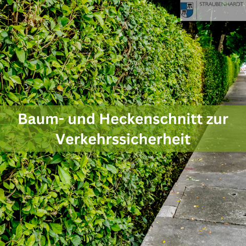 Die Pflegerückschnitte und Rückschnitte, die auf Grund der Verkehrssicherheit erforderlich sind, dürfen auch während der Vegetationszeit in der Zeit vom 01. März bis 30. September durchgeführt werden.