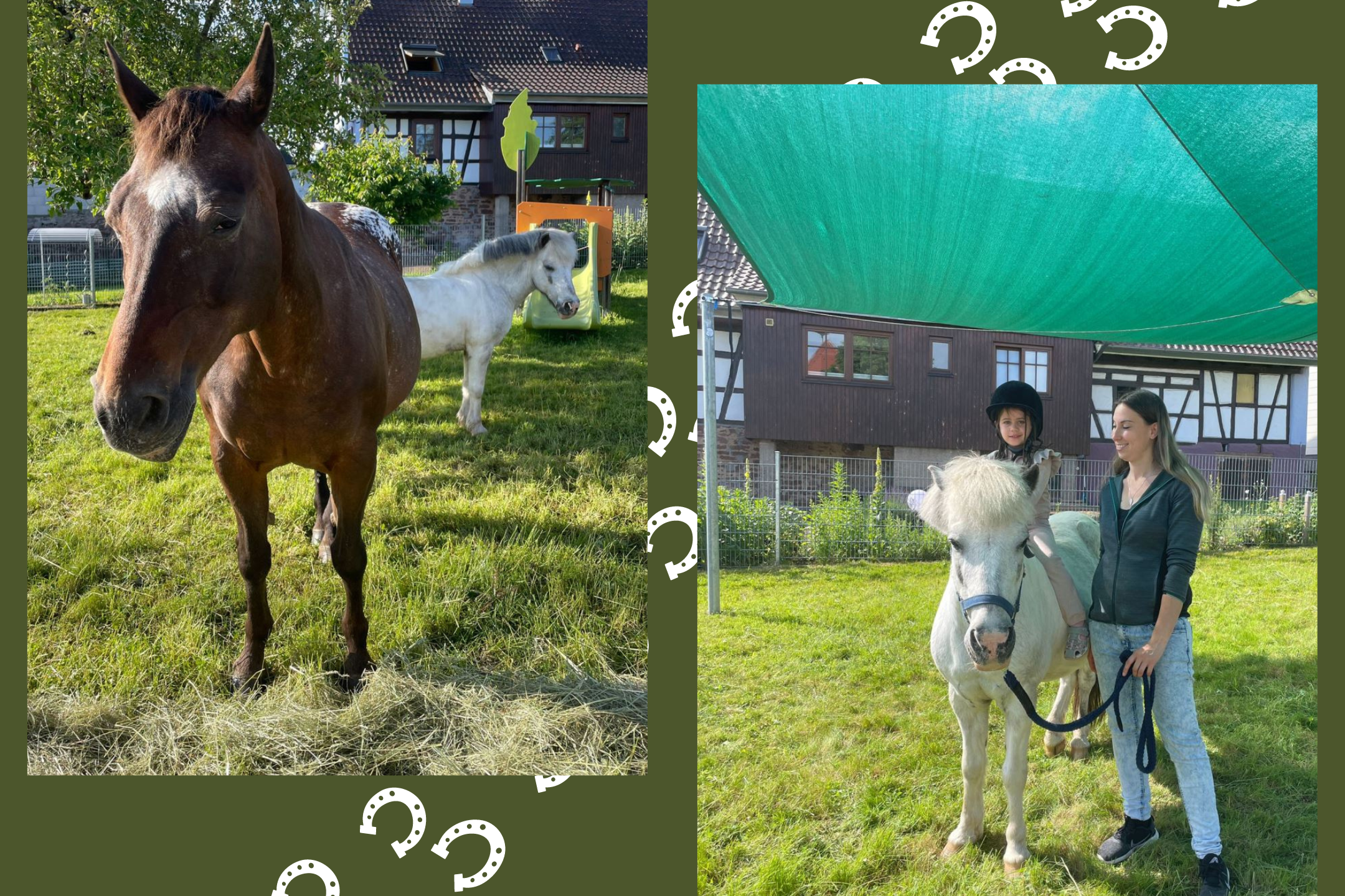 Erzieherin Frau Weber brachte für eine Woche ihr Pferd und ihr Pony in die Kita Wirbelwind.