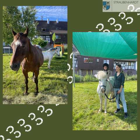 Erzieherin Frau Weber brachte für eine Woche ihr Pferd und ihr Pony in die Kita Wirbelwind.