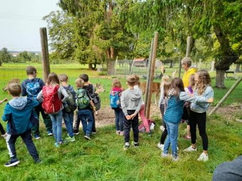 Zu Besuch beim Wildgehege in Schwann 