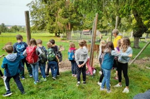 Zu Besuch beim Wildgehege in Schwann