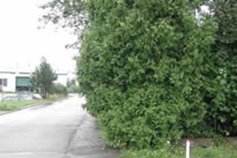 So soll der Gehweg ganz sicher nicht aussehen...