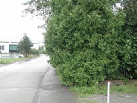 So soll der Gehweg ganz sicher nicht aussehen...