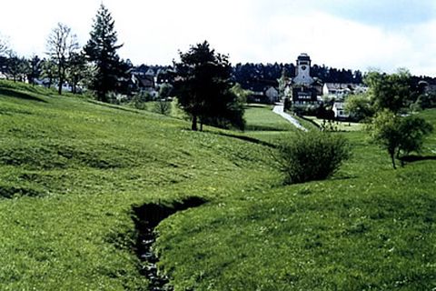 .. aus dem schönsten Wiesengrunde zur Martinskirche