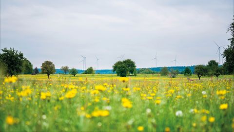Windpark Straubenhardt