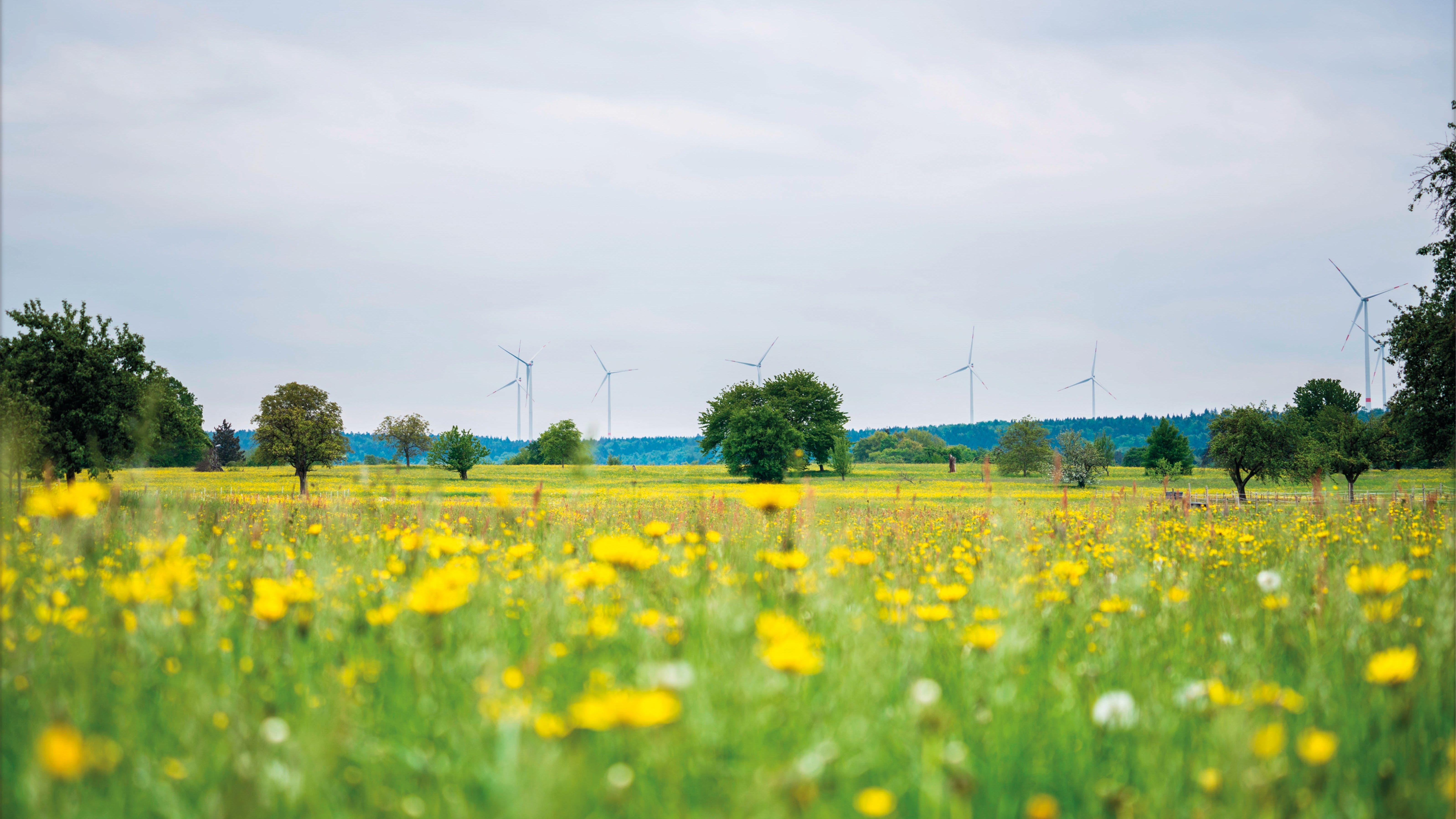 Windpark Straubenhardt
